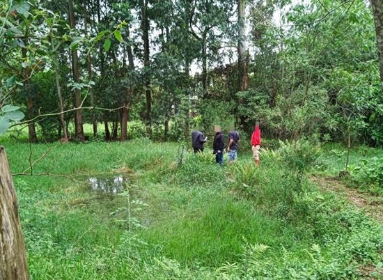 Corpo em avançado estado de decomposição encontrado em açude de chácara em Passo Fundo