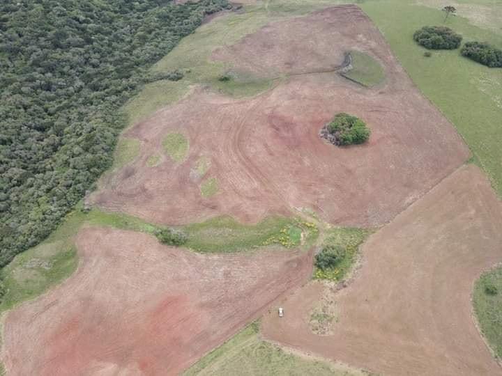 3º Batalhão Ambiental da Brigada Militar flagra destruição de vegetação nativa em Pinhal da Serra