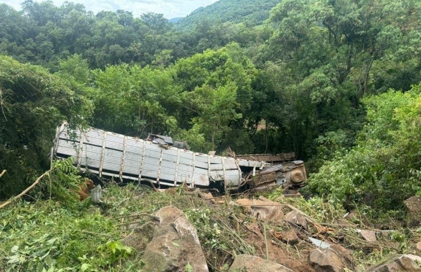 Animais morrem e motorista fica ferido após caminhão boiadeiro cair em ribanceira em Candelária
