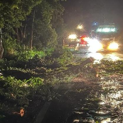 Bombeiros de Veranópolis realizam 11 cortes de árvores após temporal na noite deste domingo