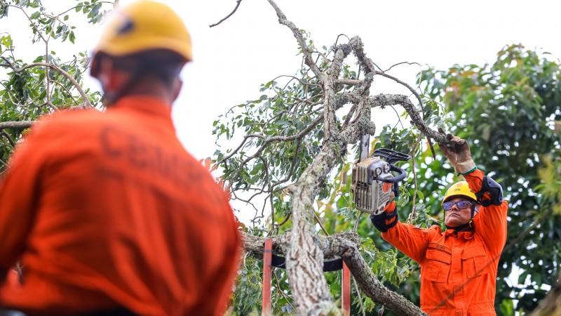 Estado auxilia municípios atingidos e avalia cenário após passagem de temporal