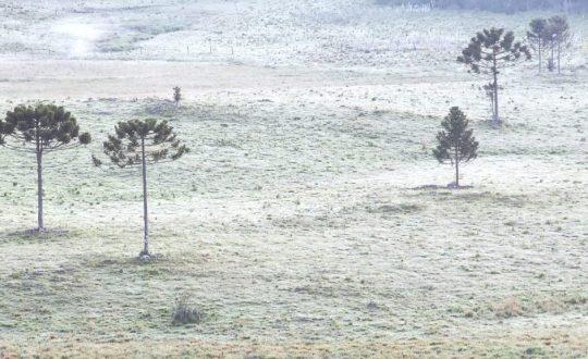 La Niña: Especialista prevê inverno duradouro e frio intenso em Santa Catarina