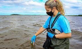 Rio Grande do Sul tem 83 pontos próprios para banho e oito impróprios