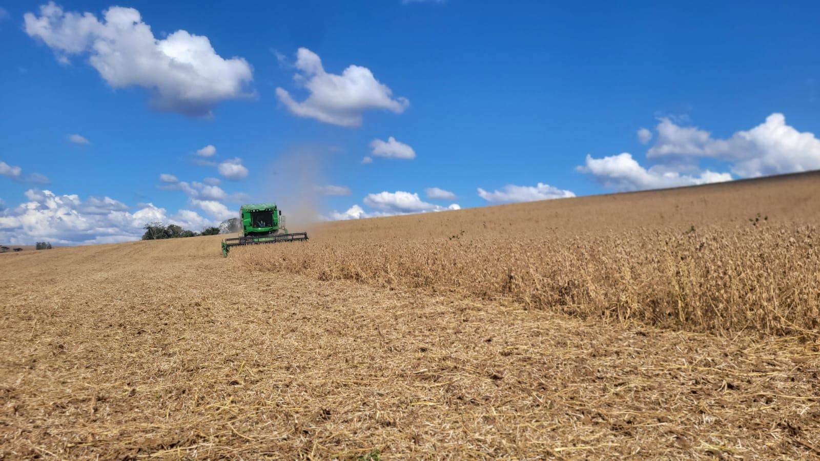 Colheita da soja se aproxima de 50% da área cultivada no RS