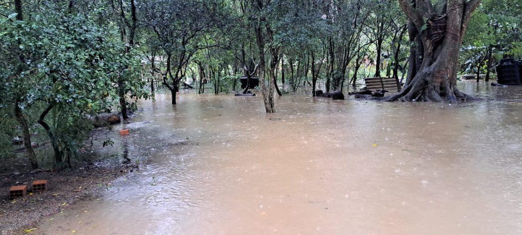 FIERGS presta auxílio às vítimas das chuvas no RS
