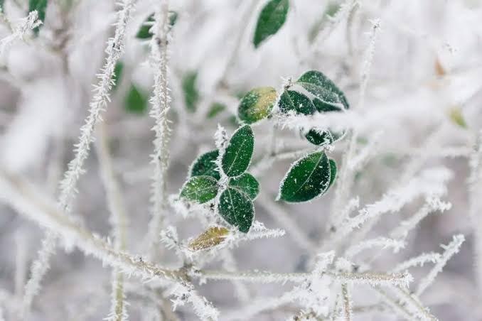 Inverno começa nesta quinta-feira no Hemisfério Sul