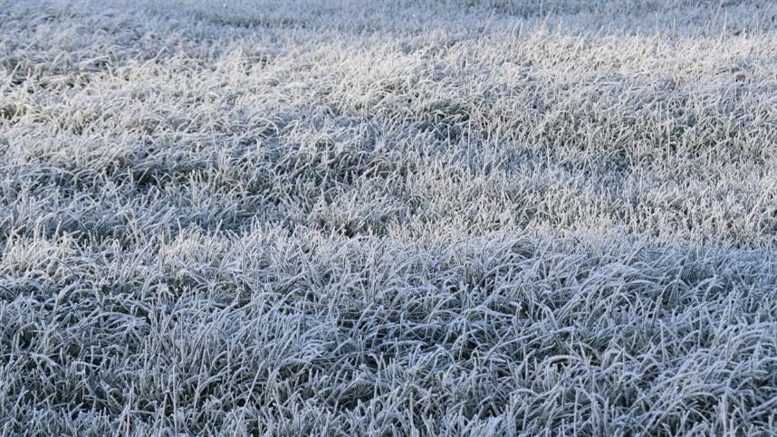 Região Sul do Brasil se prepara para o maior frio do ano com temperaturas negativas