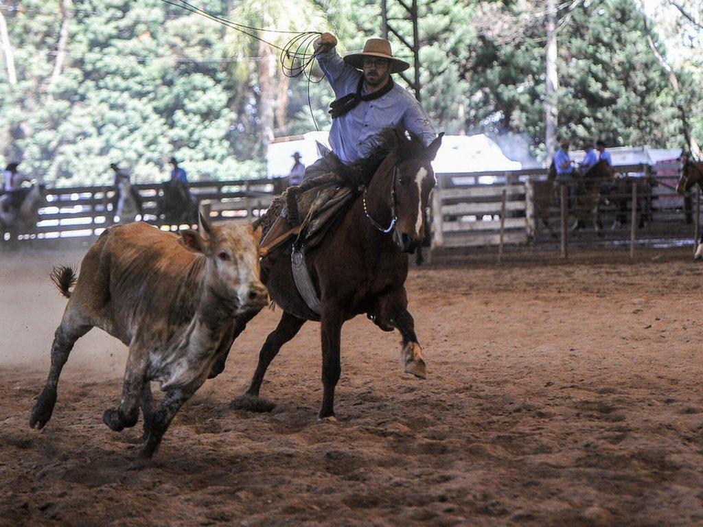 PL que torna Vacaria Capital Nacional dos Rodeios Crioulos vai à sanção