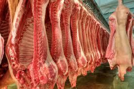 Exportações de carne suína crescem 7,3% e superam 120 mil toneladas em setembro