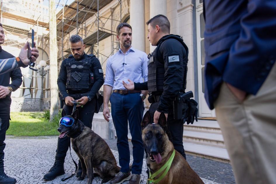 Governador recebe cães de trabalho da Polícia Penal premiados em competição internacional