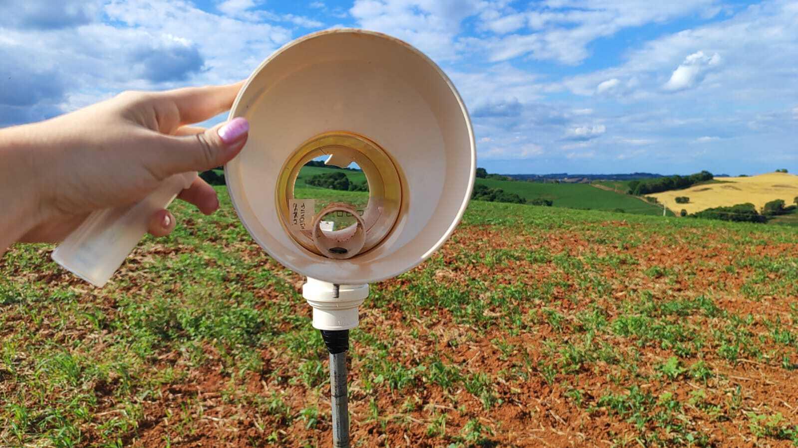 Programa Monitora Ferrugem instala 74 coletores de esporos no estado