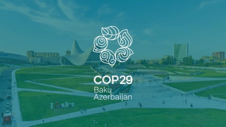 A titular da Sema, Marjorie Kauffmann, representará o Estado no evento, que ocorre no Azerbaijão entre 11 e 22 de novembro