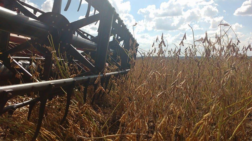 Começa a colheita da soja no Rio Grande do Sul