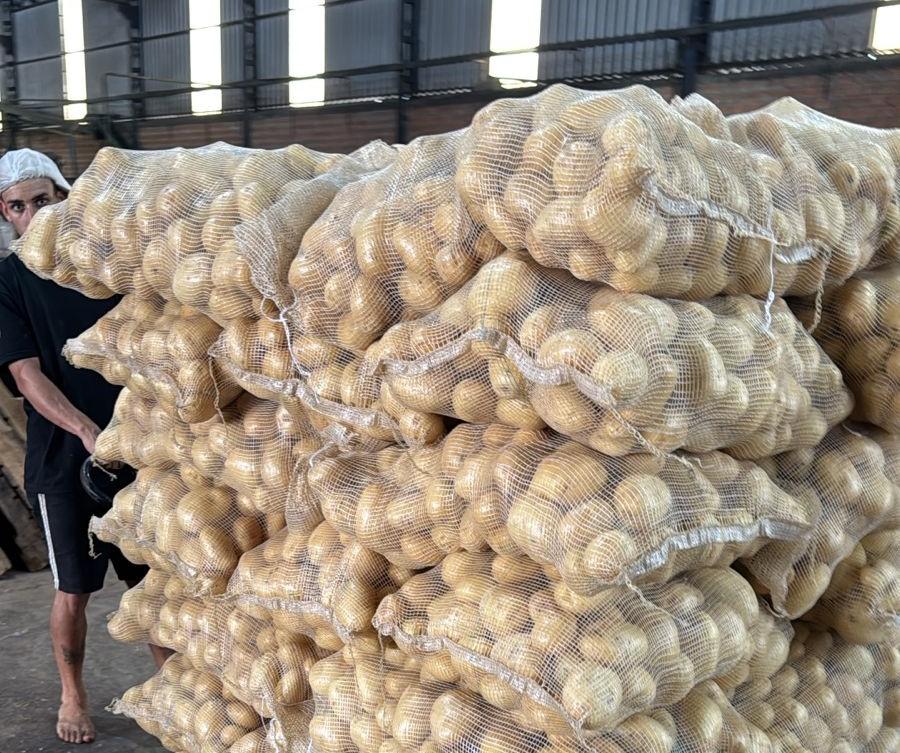 Deputado Paparico Bacchi organiza doação de batatas para municípios gaúchos