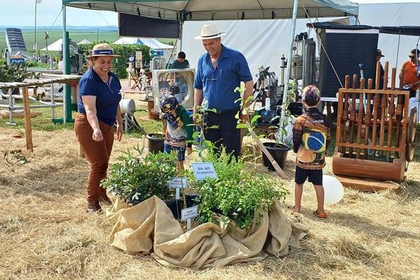 ExpoAgro Cotricampo 2025: Erva-mate é destaque no espaço de Plantas Bioativas da Emater/RS-Ascar