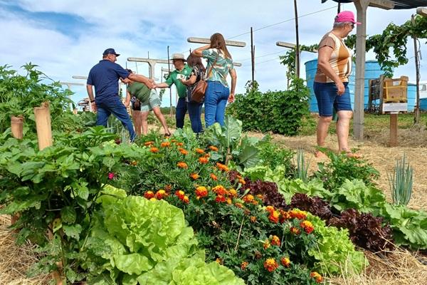  Expoagro Cotricampo 2025: Homeopatia é alternativa para produção sustentável
