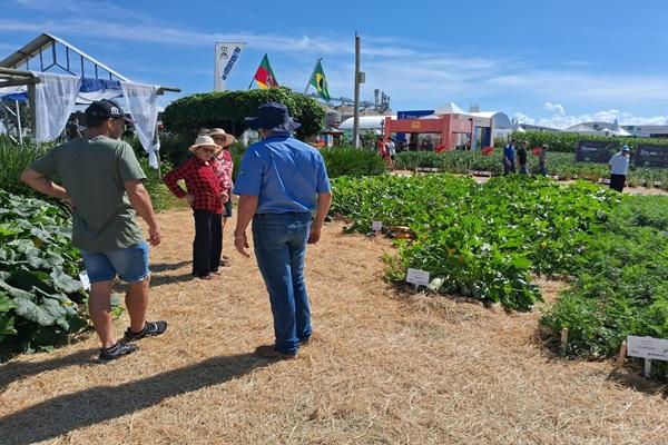 ExpoAgro Cotricampo 2025: Horticultura ganha destaque com foco na alimentação e produção familiar