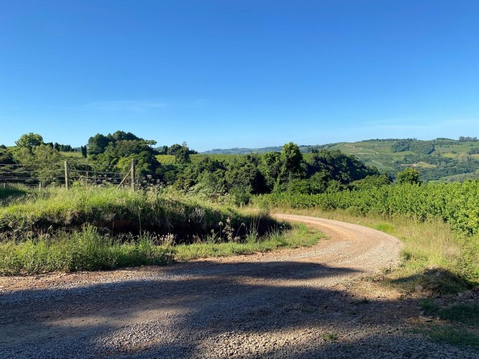 Governo autoriza início de obra de pavimentação em Farroupilha, com investimento de R$ 1,5 milhão