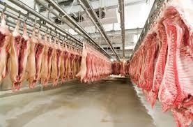 EMBARQUES DE CARNE SUÍNA CRESCEM 26,6% EM MARÇO