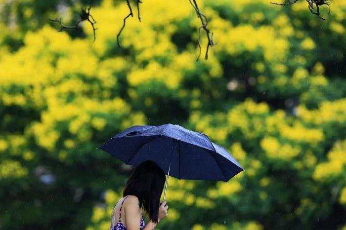 Chuva retorna ao RS após fim de semana de sol e calor