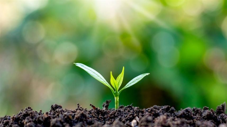 Copercampos assume protagonismo na agricultura e torna-se pioneira no uso de tecnologia regenerativa no Brasil