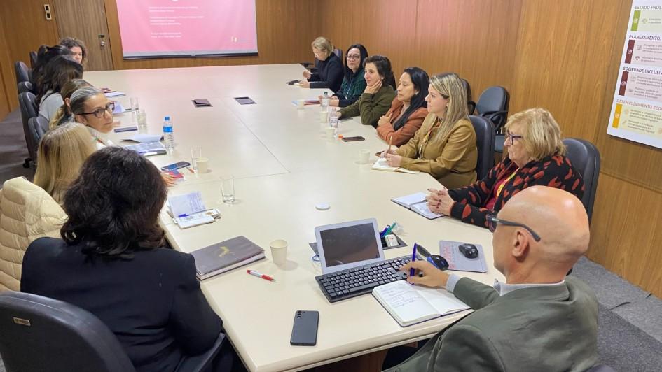 Comitê estadual discute mortalidade materna, infantil e fetal, além de capacitação para atuação na primeira infância