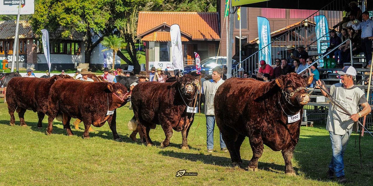 Devon e Bravon na Expointer 2025: Inscrições abertas para animais de argola e rústicos