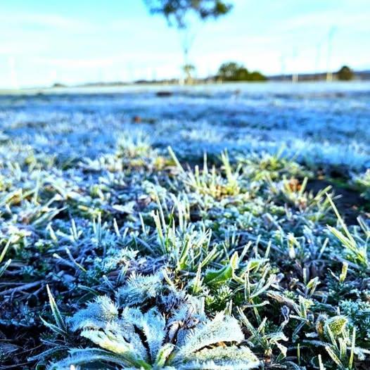 Frio no Rio Grande do Sul: municípios registram temperaturas negativas nesta quarta-feira