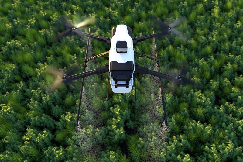 No Dia Nacional de Proteção às Florestas, Anffa Sindical destaca uso de drones para preservação ambiental
