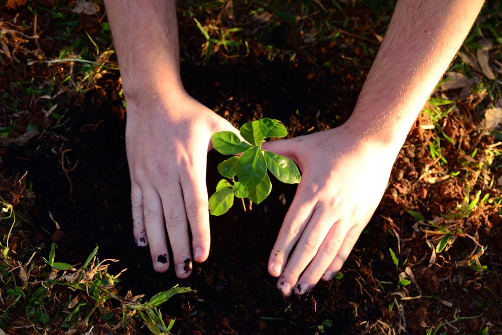 UPF inscreve para o Mestrado em Sistemas Ambientais e Sustentabilidade