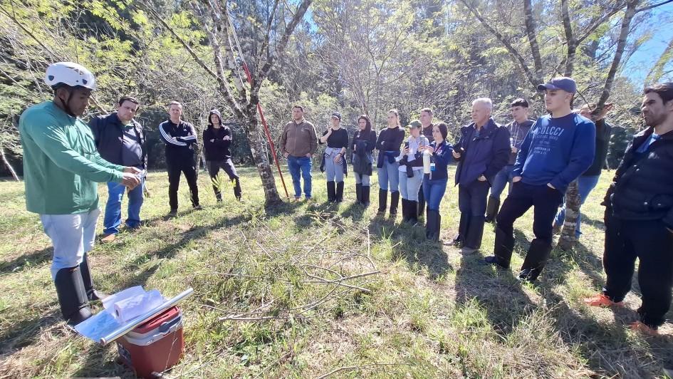 Pesquisadores treinam resgate de DNA e transplante de plantas nativas para reflorestar áreas atingidas pelas enchentes