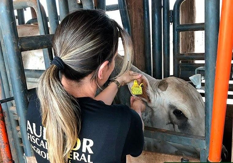 Anffa Sindical alerta para os riscos da tuberculose bovina em animais e seres humanos