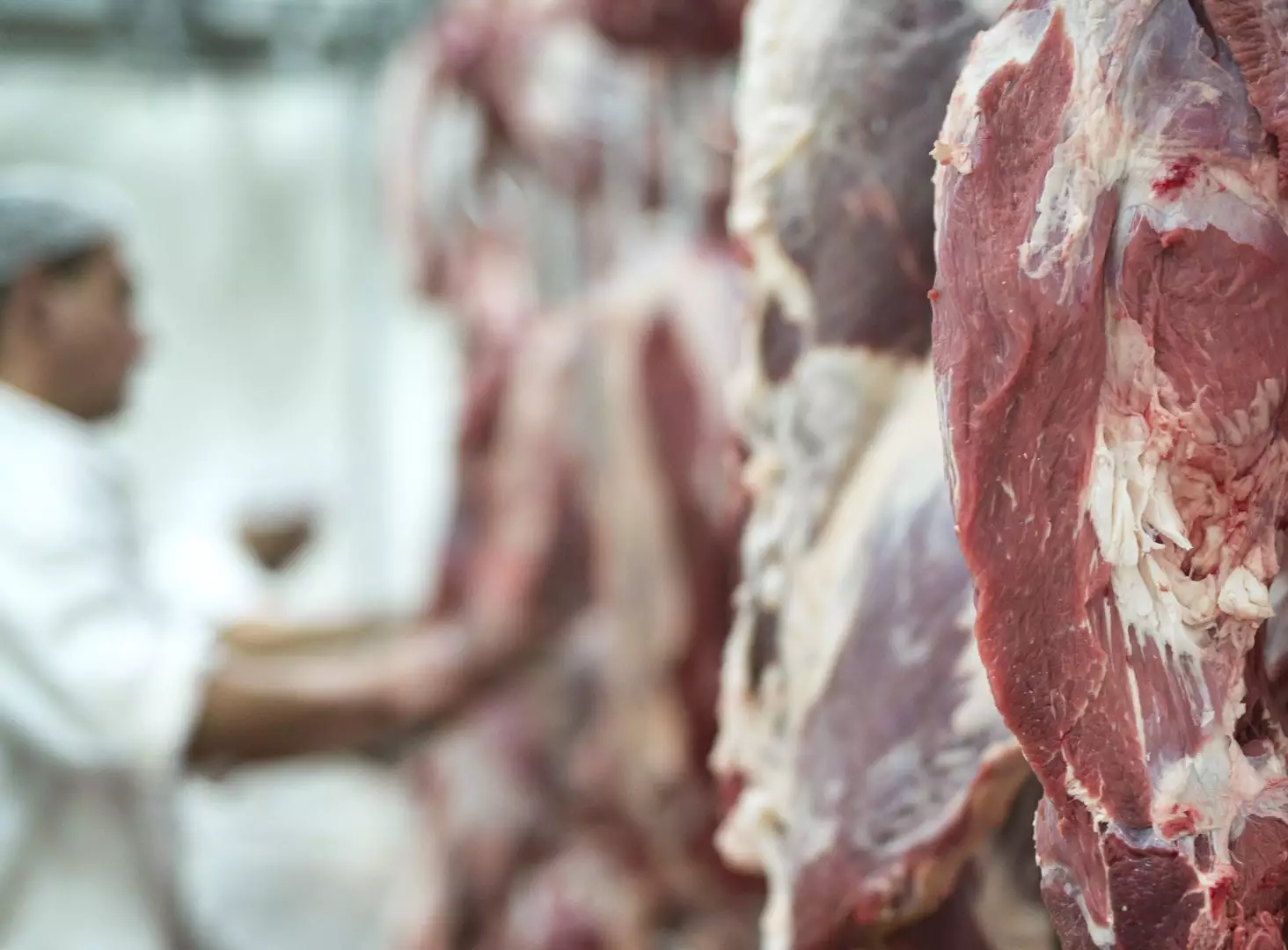 Exportações do agronegócio gaúcho atingem quase R$ 17 bilhões no segundo trimestre