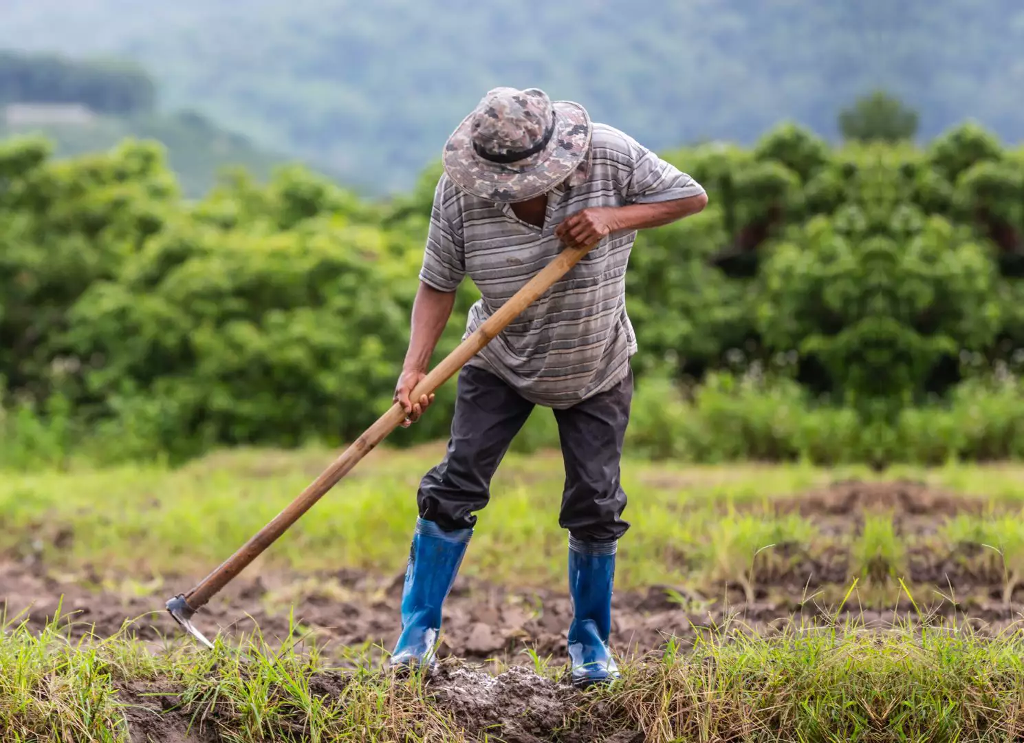 Pequenos agricultores ou pecuaristas já podem se inscrever no programa gaúcho de recuperação socioprodutiva e ambiental de propriedades rurais