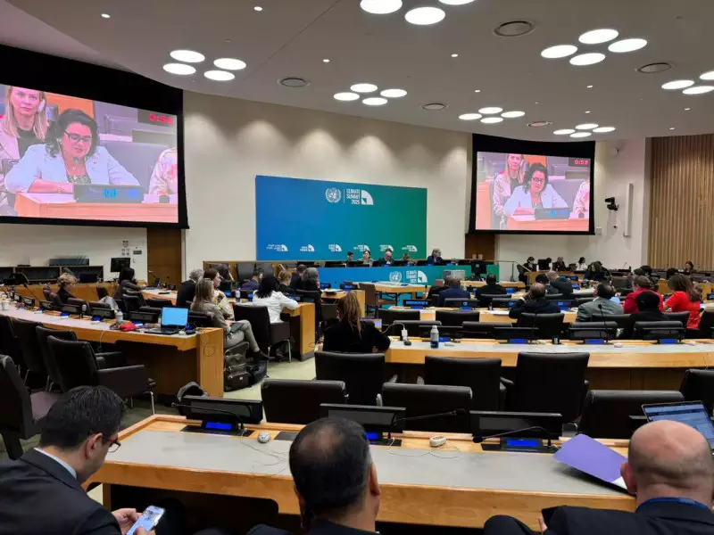Secretária do Meio Ambiente do RS participa nos Estados Unidos de evento internacional sobre adaptação climática