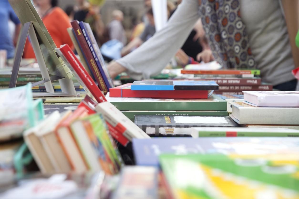 43ª Feira do Livro de Vacaria inicia programação nesta sexta-feira (17/10)