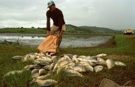 Governo abre inscrições para programa de desenvolvimento da pesca artesanal no RS na segunda (5)