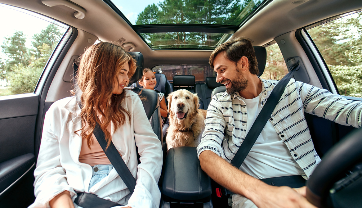 Viagem sem parar: Tag de Passagem do Sicredi garante agilidade e comodidade nas férias