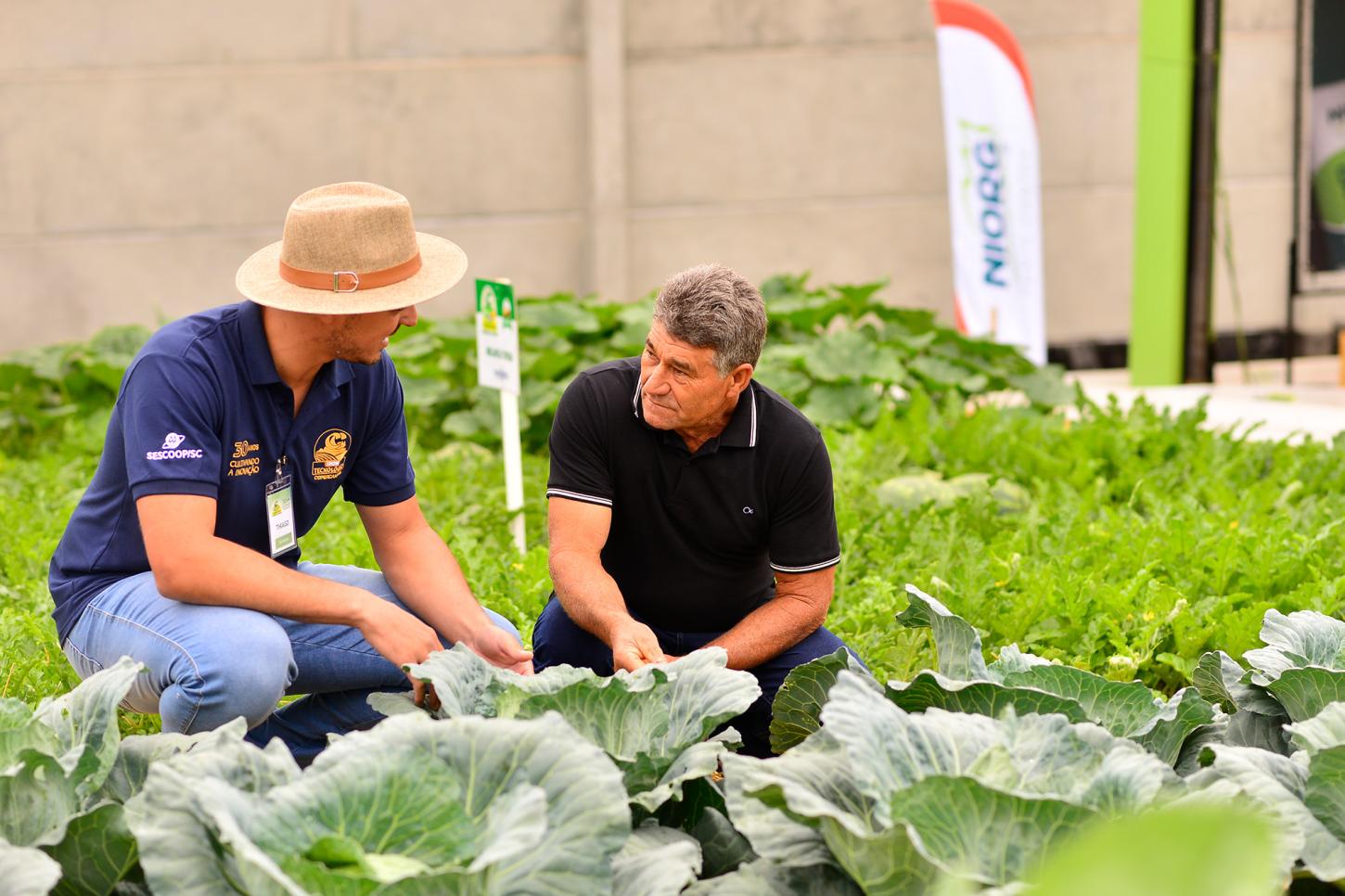 30º Show Tecnológico Copercampos confirma força do agro 