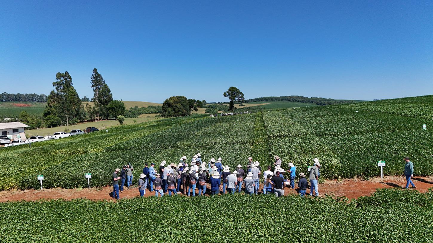 Associados e técnicos da Copercampos avaliam desempenho de cultivares em áreas de Integração Lavoura/Pecuária