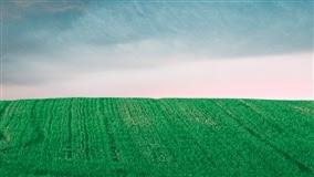 Governo Leite libera R$ 12 milhões para financiar projetos de estímulo à permanência da juventude na atividade rural