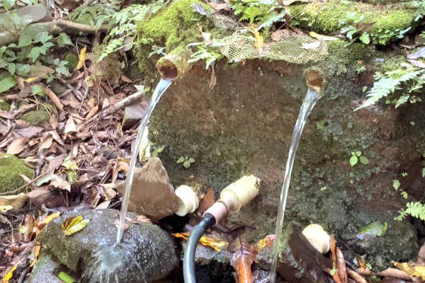 Proteção de fontes e nascentes assegura água de qualidade para moradores de Dona Francisca