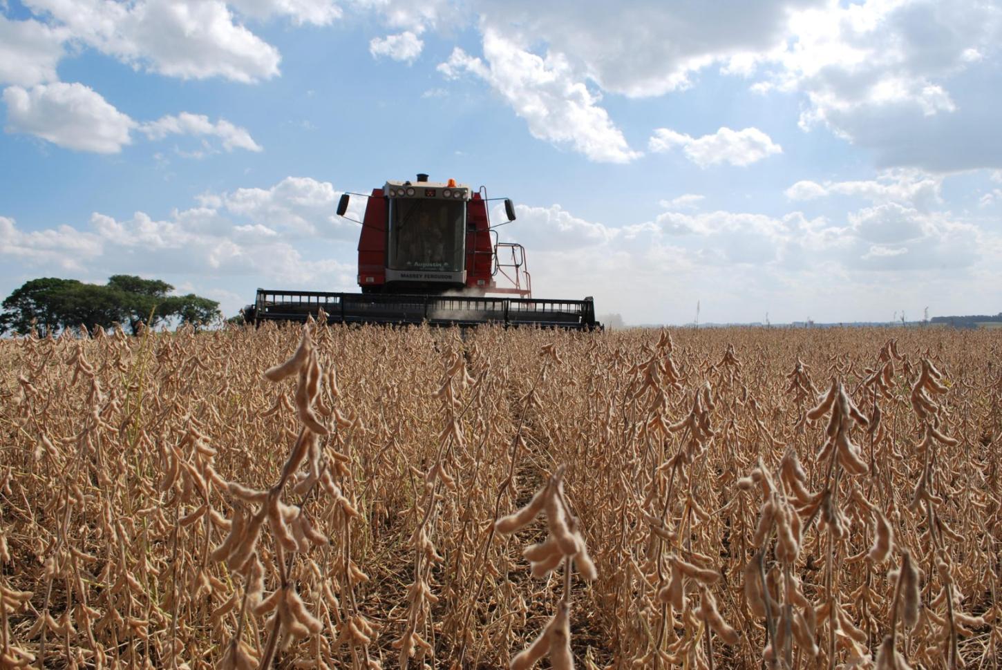 Safra de grãos no Rio Grande do Sul é estimada em 38,9 milhões de toneladas