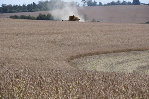Colheita da soja alcança 10% da área cultivada no RS