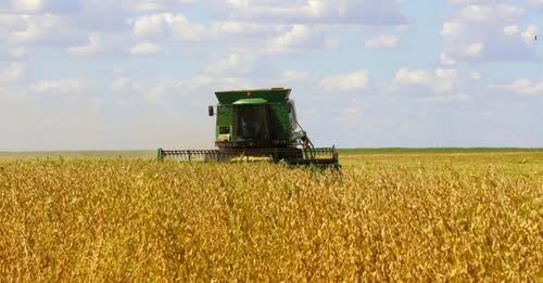 Falta de chuvas reduz projeção da safra de grãos para 32,8 milhões de toneladas no Rio Grande do Sul