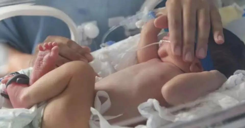 Cartórios do Rio Grande do Sul lançam plataforma digital de reconhecimento de paternidade