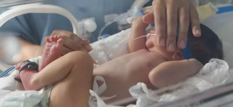 Cartórios do Rio Grande do Sul lançam plataforma digital de reconhecimento de paternidade