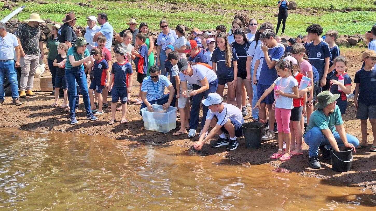 Consórcio Machadinho realiza mais uma soltura de peixes 