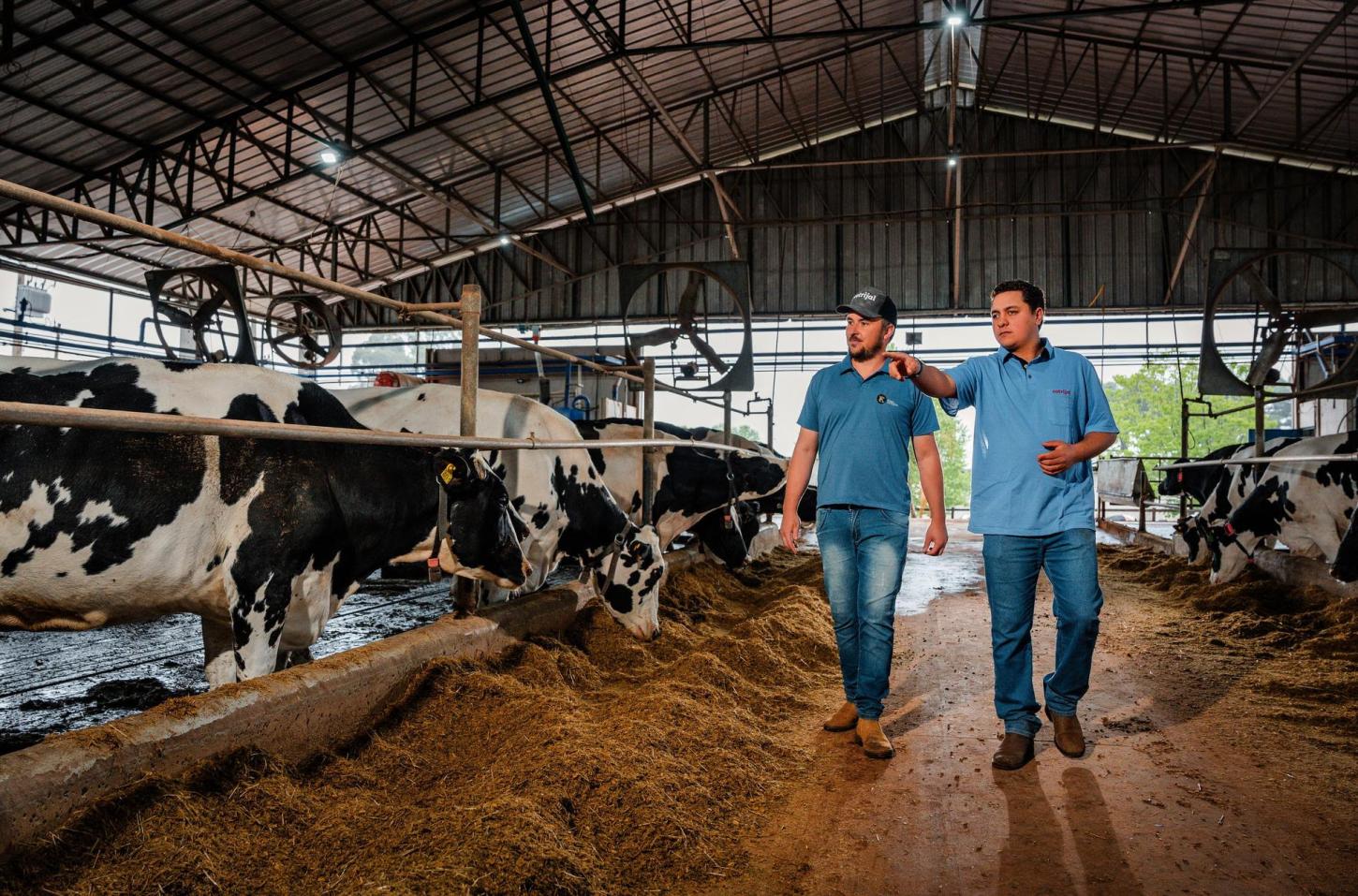 Cotrijal e CCGL destinam mais de R$ 2,7 milhões para associados.