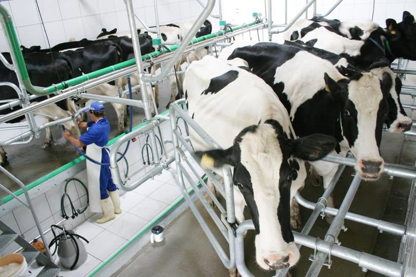 Preço do leite no RS sobe mais de 10% em abril e indica recuperação do setor